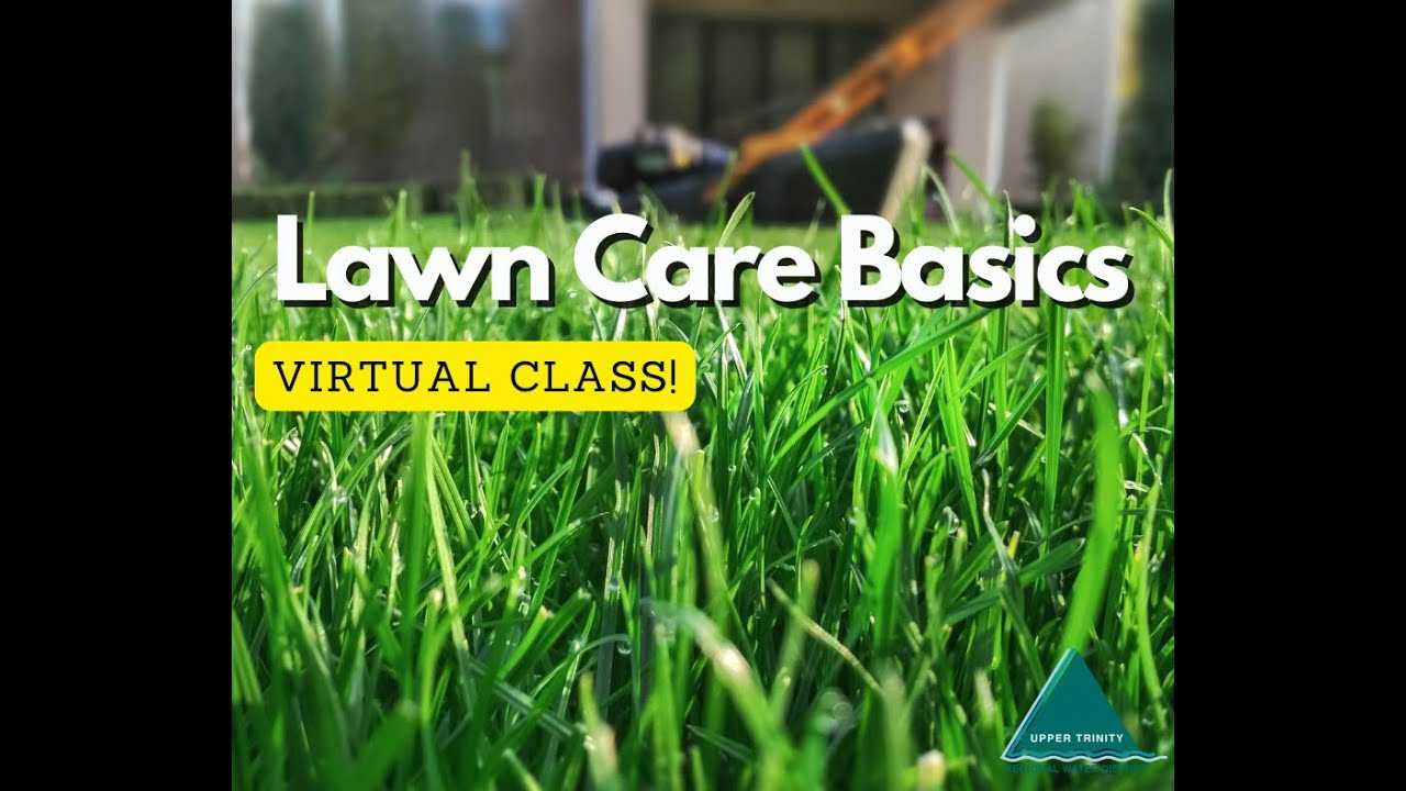 Lawn Care Basics for North Texas