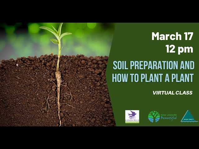 Soil Preparation and How to Plant a Plant