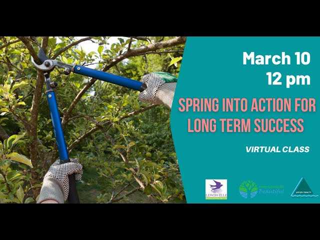Spring into Action for Long Term Success - March 10, 2021