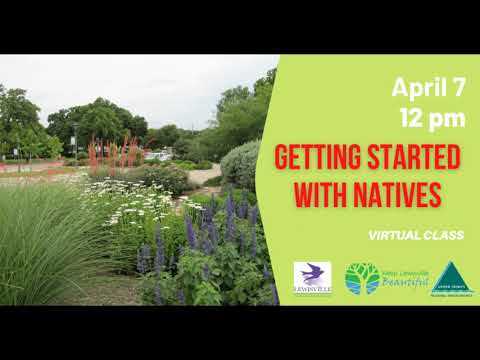 Getting Started with Native Plants Virtual Class